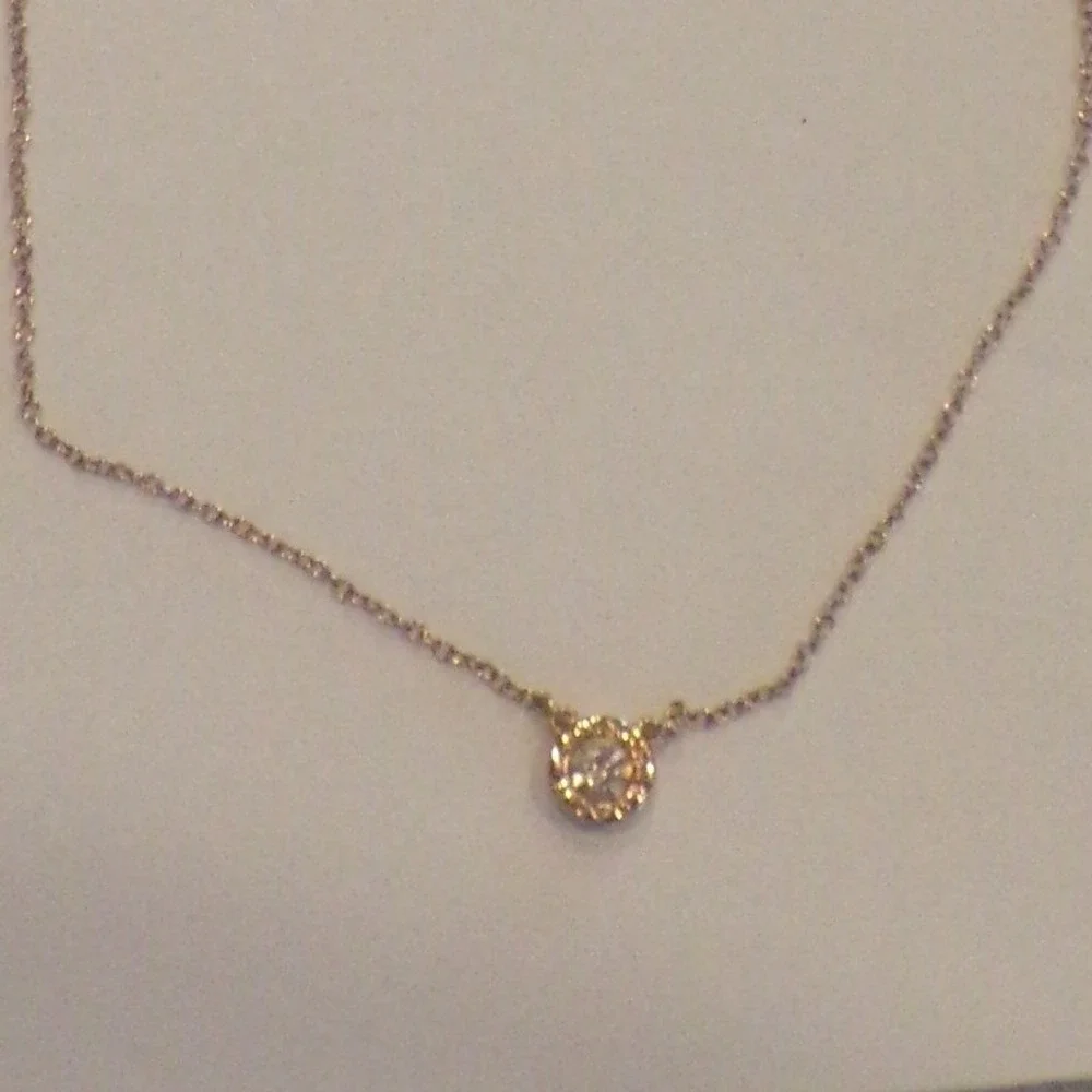 Coach 18 rose